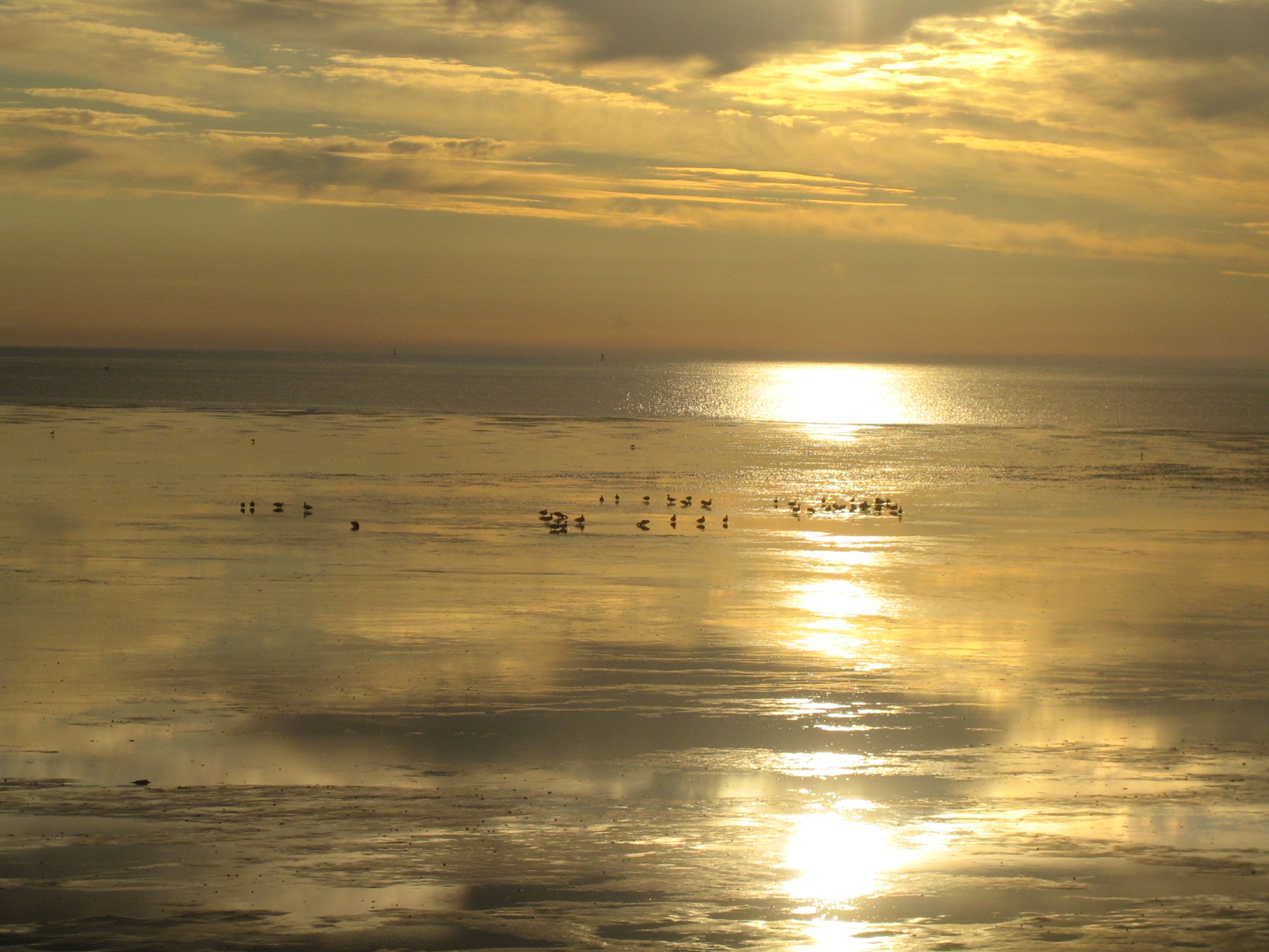 Wattenmeer